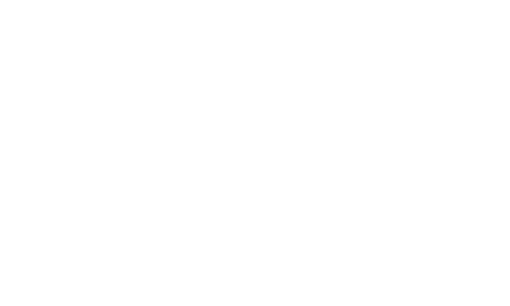 RCS Anbieter - Dotgo
