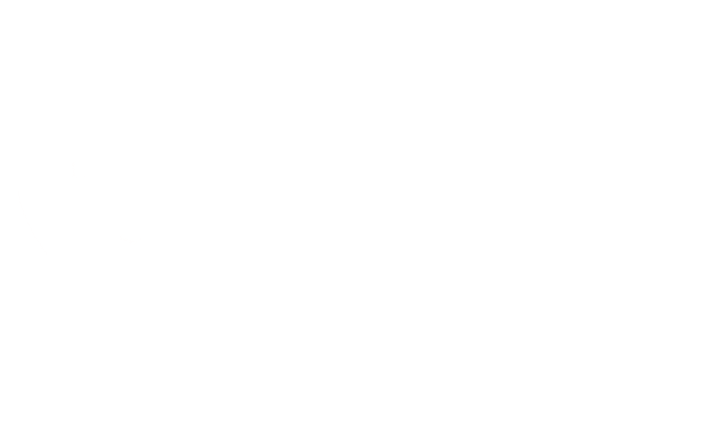 RCS Anbieter Partnerlogo - Messente