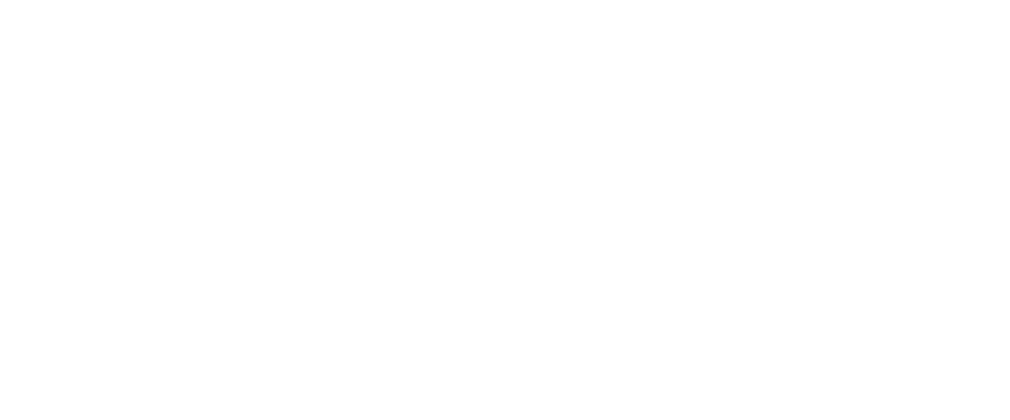 RBM Partner RouteMobile