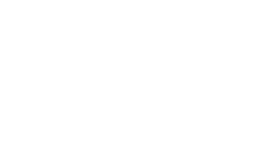 RCS Anbieter Partnerlogo - iBASIS