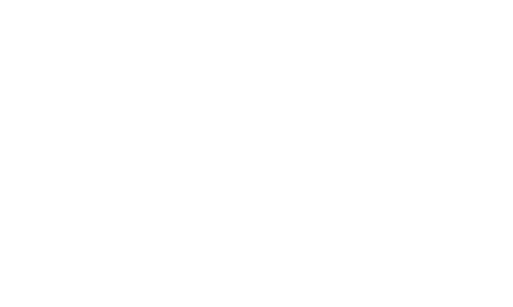 RCS Anbieter Partnerlogo - IDM