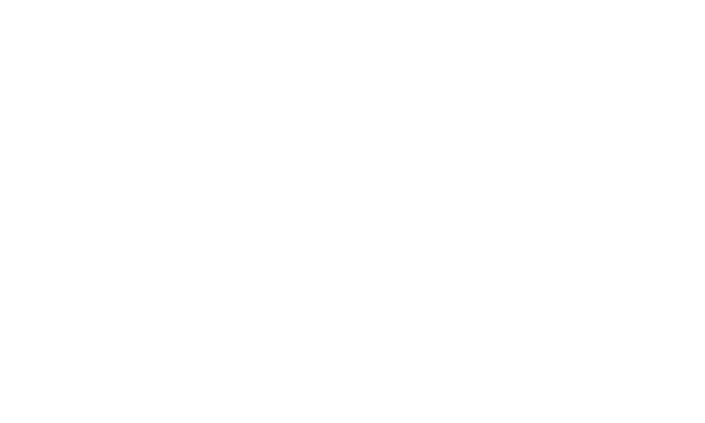 RCS Anbieter Partnerlogo - rdcom