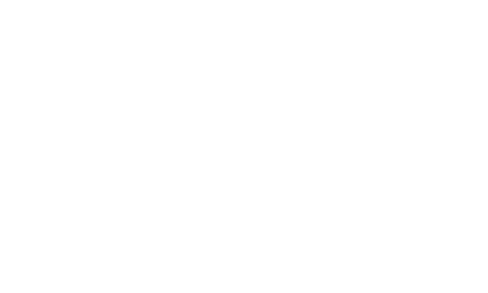 RCS Anbieter Partnerlogo - telnyx