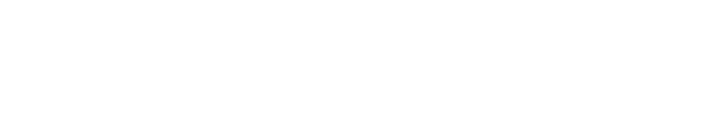 RBM Partner MATERNA